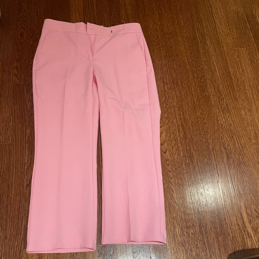 Pink Zara Pants Size Large Brand New with Tags